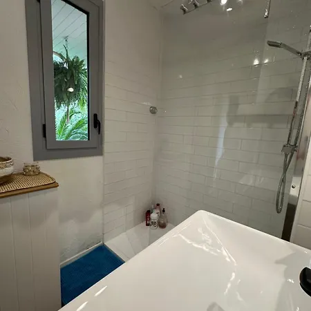 Appartement Tropez Centre Parking Et Jardin Privé Inclus *