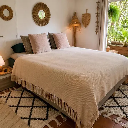 Appartement Tropez Centre Parking Et Jardin Privé Inclus *